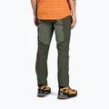 Pantaloni de trekking pentru bărbați Montura Mountain Trek verde salvia 3