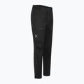 Pantaloni de trekking pentru bărbați Montura GTX Pro Cover black 3