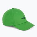 Bărbați Aeronautica Militare șapcă de baseball 251HA1212CT3299 verde pară