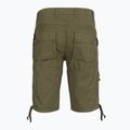 Pantaloni scurți pentru bărbați Aeronautica Militare BE0041UCT01122 green 2