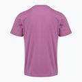 Tricou pentru bărbați Aeronautica Militare TS1580UJ00372 grape purple 2