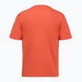 Tricou pentru bărbați Aeronautica Militare TS2535UJ00641 paprika 2