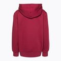 Hanorac pentru copii Champion Legacy bordeaux 2