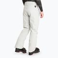 Pantaloni de schi pentru bărbați EA7 Emporio Armani Ski Cortina Toray quiet gray 2