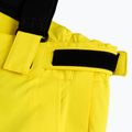 Pantaloni de schi pentru bărbați EA7 Emporio Armani Ski Kitzbuhel Protectum blazing yellow 5