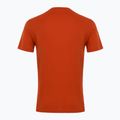 Tricou pentru bărbați EA7 Emporio Armani Visibility Cotton Crew rooibos tea 2
