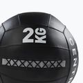 Minge medicinală CENTR Wall Ball Centr x Hyrox 2 kg black 2