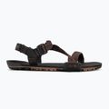Sandale barefoot pentru bărbați Xero Shoes Z-Trail EV multi / brown 2