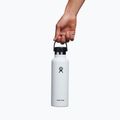 Sticluță termică Hydro Flask Standard Flex Straw 620 ml alb S21FS110 4