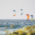Cabrinha Contra kite galben K2KOCTR3S017002 5