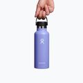 Sticlă termică Hydro Flask Standard Flex 530ml Lupine S18SX474 4