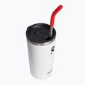 Paie Hydro Flask Stainless Steel Straw 2 buc. goji 6