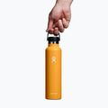 Sticlă termică Hydro Flask Standard Flex Cap 710 ml fosilă 3