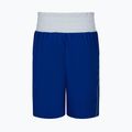 Bărbați Nike Boxing pantaloni scurți royal 3