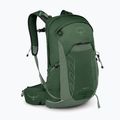 Rucsac turistic pentru bărbați Osprey Talon 22 l green canopy / pine leaf 2