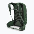 Rucsac turistic pentru bărbați Osprey Talon 22 l green canopy / pine leaf 4