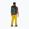 Rucsac turistic pentru bărbați Osprey Talon 22 l green canopy / pine leaf 6