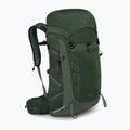 Rucsac turistic pentru bărbați  Osprey Talon 33 l green canopy/ pine leaf