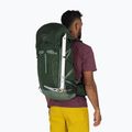 Rucsac turistic pentru bărbați  Osprey Talon 33 l green canopy/ pine leaf 3