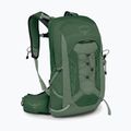 Rucsac de drumeții pentru bărbați Osprey Talon 11 l green canopy/ pine leaf 2