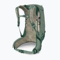Rucsac turistic pentru bărbați Osprey Stratos 24 l pine leaf 4