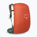 Rucsac turistic pentru bărbați Osprey Stratos 24 l pine leaf 5