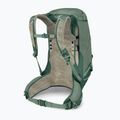 Rucsac turistic pentru bărbați Osprey Stratos 34 l pine leaf 4