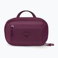 Trusă de cosmetice Osprey Ozone Powerhouse moody burgundy