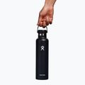 Sticlă termică  Hydro Flask Standard Flex Cap 709 ml black 5