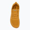 Încălțăminte barefoot pentru bărbați  Xero Shoes Nexus Knit gold 5