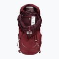 Rucsac de trekking pentru femei Lowe Alpine AirZone Trek ND43:50 43 + 7 l zmeură 4