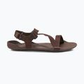 Sandale barefoot pentru bărbați Xero Shoes Z-Trek brown 2