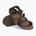 Sandale barefoot pentru bărbați Xero Shoes Z-Trek brown 8