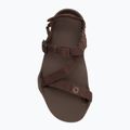 Sandale barefoot pentru bărbați Xero Shoes Z-Trek brown 5