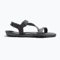 Sandale barefoot pentru bărbați Xero Shoes Z-Trail EV steel gray/asphalt