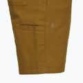 Pantaloni scurți pentru bărbați Royal Robbins Half Dome coyote 4