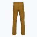 Pantaloni pentru bărbați Royal Robbins Half Dome coyote 2