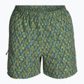 Pantaloni de trekking pentru bărbați Royal Robbins All-In algae flash pt