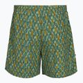 Pantaloni de trekking pentru bărbați Royal Robbins All-In algae flash pt 2