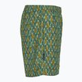 Pantaloni de trekking pentru bărbați Royal Robbins All-In algae flash pt 3