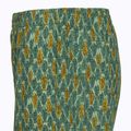 Pantaloni de trekking pentru bărbați Royal Robbins All-In algae flash pt 4