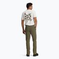 Pantaloni pentru bărbați Royal Robbins Wilder everglade 3