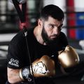 Mănuși de box Rival RS11V Evolution gold 6