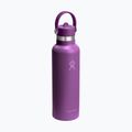 Sticlă termică Hydro Flask Standard Flex Straw 620 ml beachplum 2