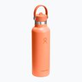 Sticlă termică Hydro Flask Standard Flex Straw 620 ml nectar 2