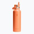 Sticlă termică Hydro Flask Standard Flex Straw 620 ml nectar