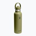 Sticlă termică Hydro Flask Standard Flex 621 ml palmer green 2
