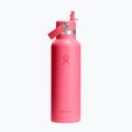 Sticlă termică Hydro Flask Standard Flex 621 ml Popstar Pink