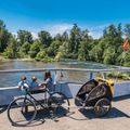 Cărucior de bicicletă pentru copii Burley Bee Single, negru, BU-946206 11