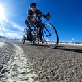 Cărucior de bicicletă pentru copii Burley D’Lite X Single, albastru, BU-938102 12